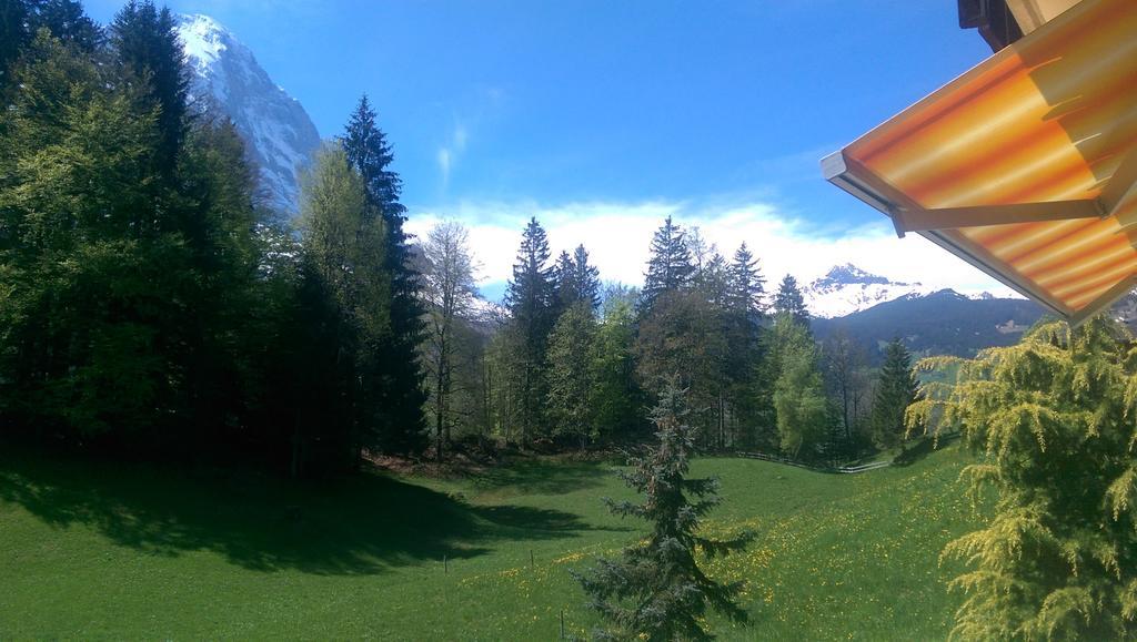 Mom - Alpine Boutique Apartments, Grindelwald Gletscher, Eiger View Terrace Studio Phòng bức ảnh