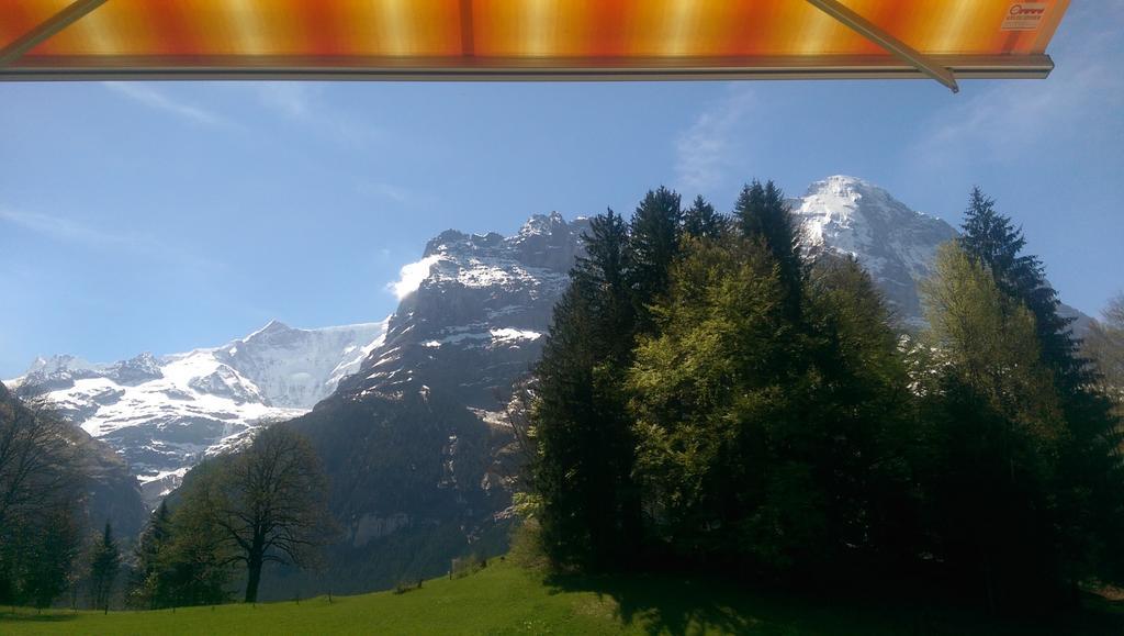 Mom - Alpine Boutique Apartments, Grindelwald Gletscher, Eiger View Terrace Studio Phòng bức ảnh
