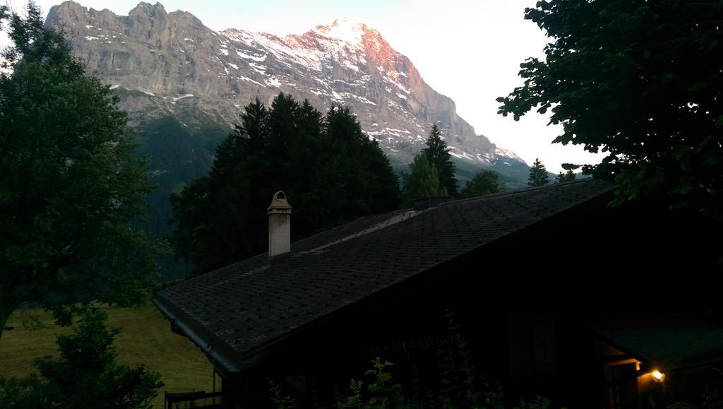 Mom - Alpine Boutique Apartments, Grindelwald Gletscher, Eiger View Terrace Studio Phòng bức ảnh