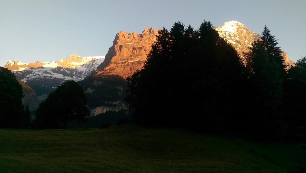 Mom - Alpine Boutique Apartments, Grindelwald Gletscher, Eiger View Terrace Studio Phòng bức ảnh