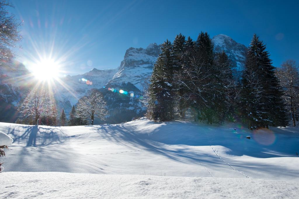 Mom - Alpine Boutique Apartments, Grindelwald Gletscher, Eiger View Terrace Studio Phòng bức ảnh